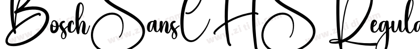 BoschSansCHS Regular字体转换